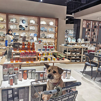 ����Ͱ�ȫ���׼�����ʵ��Ҿӵ꣬���������죡