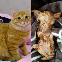 С���˵���Ϯ