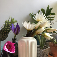 ��������Ī�ε�ִ��