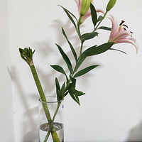 ���������������~