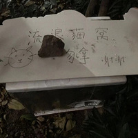 �߼��ֹ�������Ů������è�����ѡ�