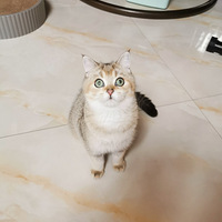 ��¼һ�£������ĳɳ���