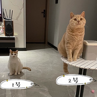 ��è��PK���������������Ǿ�����ֻ�ԣ�