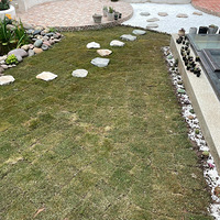 �ҵĻ�԰���Ҽҹ���