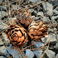 ����ů��...������