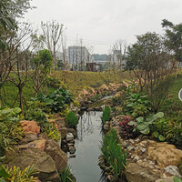 �����췢���˴������м���С�ط����Թ��