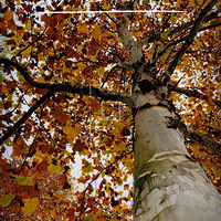 ���ǵ���ͩ��·�����������񳬰�