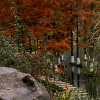 �����ɼ����ѹ����ڵ�����ȥ���ƺ��򿨲�ɫ�Ķ���