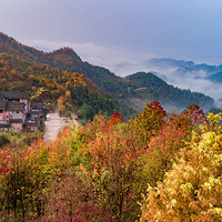 ���ڵ��Ķ���ɹ̫���ĺ�ȥ�������ǳ���1hֱ�ů���µķ��ֺ���