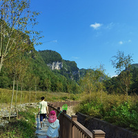 ޣΪҹʡˣһ껹ǿ10+