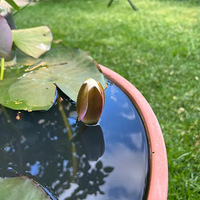 һ���ֵò�̫�ɹ���˯��