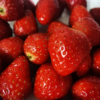 һ����˵�˫ʮ���������ŵ������װ�