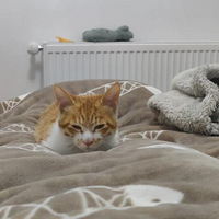 С���ڼҵĵ�n��