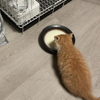 ���ٱ�׳ʵ¼