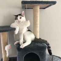 è���첻̫���ģ�����ѵ��һ�١�