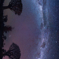 �ǿ�������һ��ȥ��