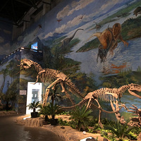 �Թ�����������ʳ