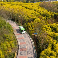 ·���Ƽ� | ���ǳ���1Сʱ������÷������򡢴�ɭ���ؾ�