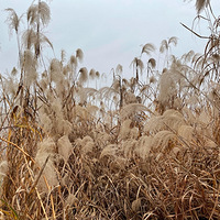 �人��«έ��+���ǵĺ�