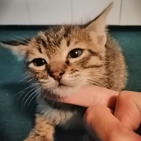 С��è��������