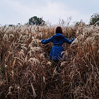 С�����䡫���ݿ����������������ݺ���