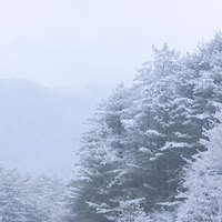 ������ѩ���������ܱ���ѩ��ͼ���������ֻҪ1.5Сʱ