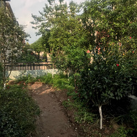 �������м��ѵĺ��̺�ͬ�������ǡ�����Ƭ��԰�����ҵĴ��⡣