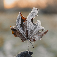 �ӷ��ڼ���ϱ�������У���һ�а��ŵ��׵�����ӭ��С�ɰ��ĵ�����