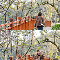 �������գ����ƺ��ĺ�ɼ��̫������