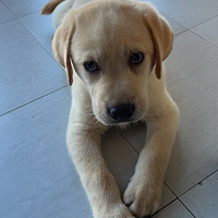 ��������ܵ�����