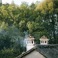 ��ɽ�ϵİ����Ͻ����������ʺϻ���;۲�