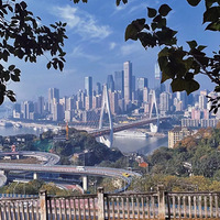 ��Ұ��̯���ϰ�������wanghong�򿨣���ɱһ�����۾���