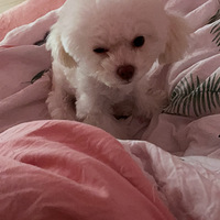 ��ҹ�����ֵҲ���������ߺ�����