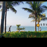 �����˵��峿��