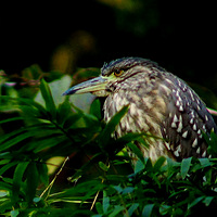 ��ů��������