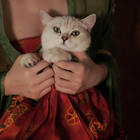 ���Ϻ����ȣ����Լ����ȳ�����д��