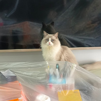 ������ů��Ƭ�����ˣ���������~