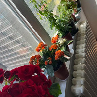 û����̨�������ڴ�̨��Ҳ�������ֲ��