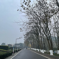 ��һ�ι�԰��԰������������н��Ϸ���