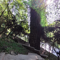 ���������������ѹ�԰�����Ը��