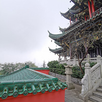 �Ǹ߸󿴾����Դ���������