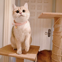 ʥ����һ��