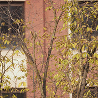 ���ˣ�װ�÷����˲���ȥ�ϰ��ˣ��ڼҴ���̫����ˣ�