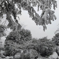 ����ɽ��ѩ��