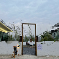 �����Ƿ������