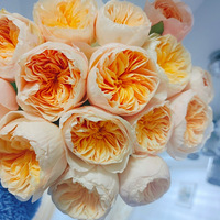 ֻ�л���û��