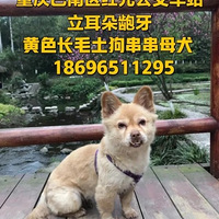 ������Ѱ����ʾ