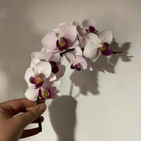 �Һ��ѹ�������è�Ѻ�����ҧ���ˣ���