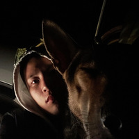 �ز���Ҳ������