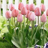 ˮ���������ռ�